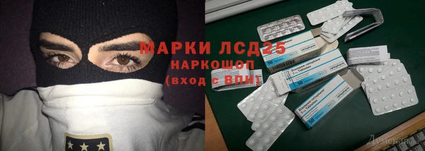 спиды Магас