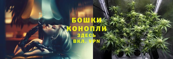 спиды Магас